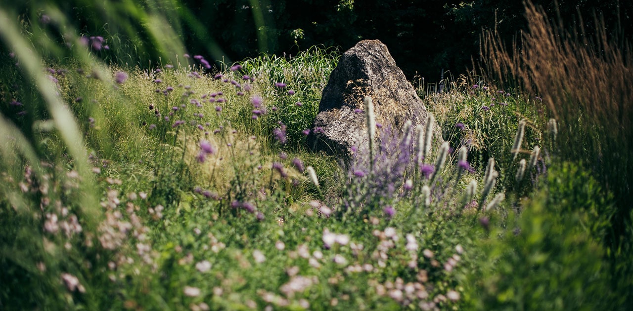 Das Gartenkollektiv Graz Vasoldsberg_c_Lex_Karelly